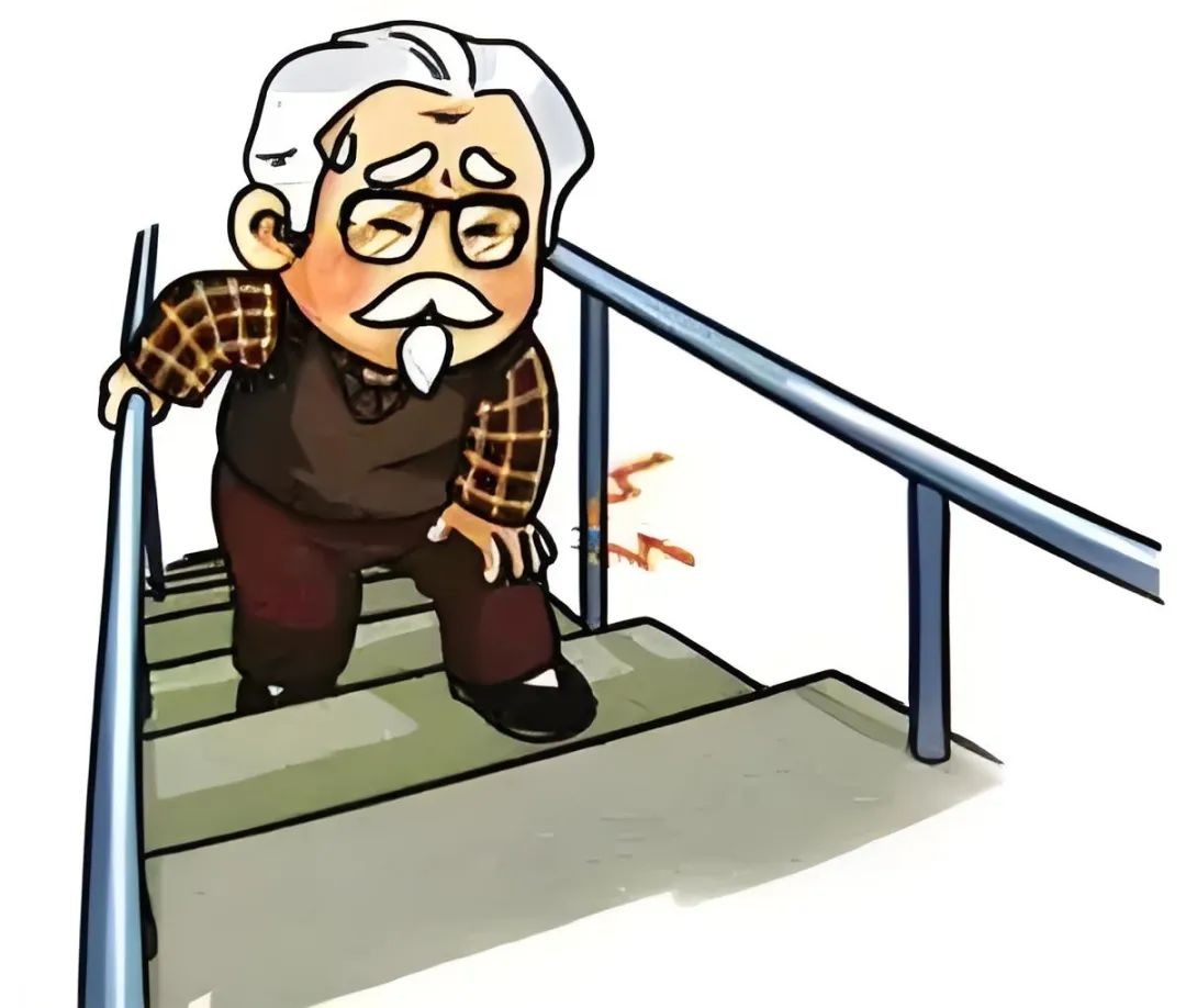 图片 8.jpg