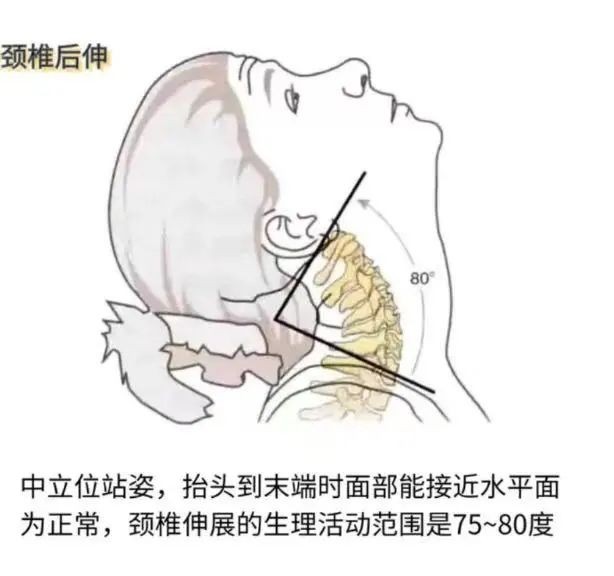 图片 4.jpg