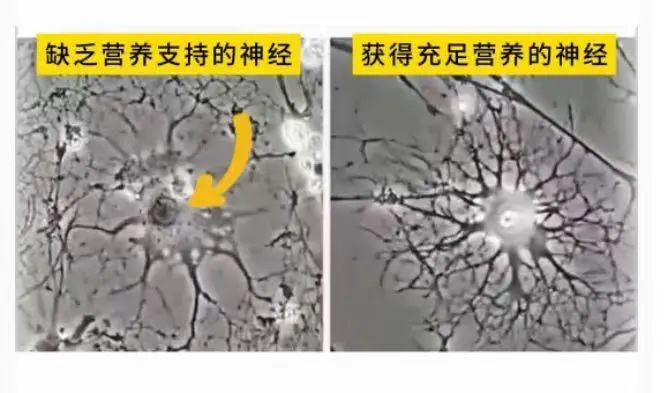 图片 10.jpg
