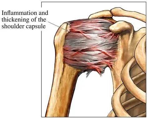 1761545725490627.png image.png