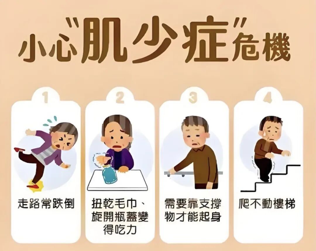 肌少症如何有效识别并改善？