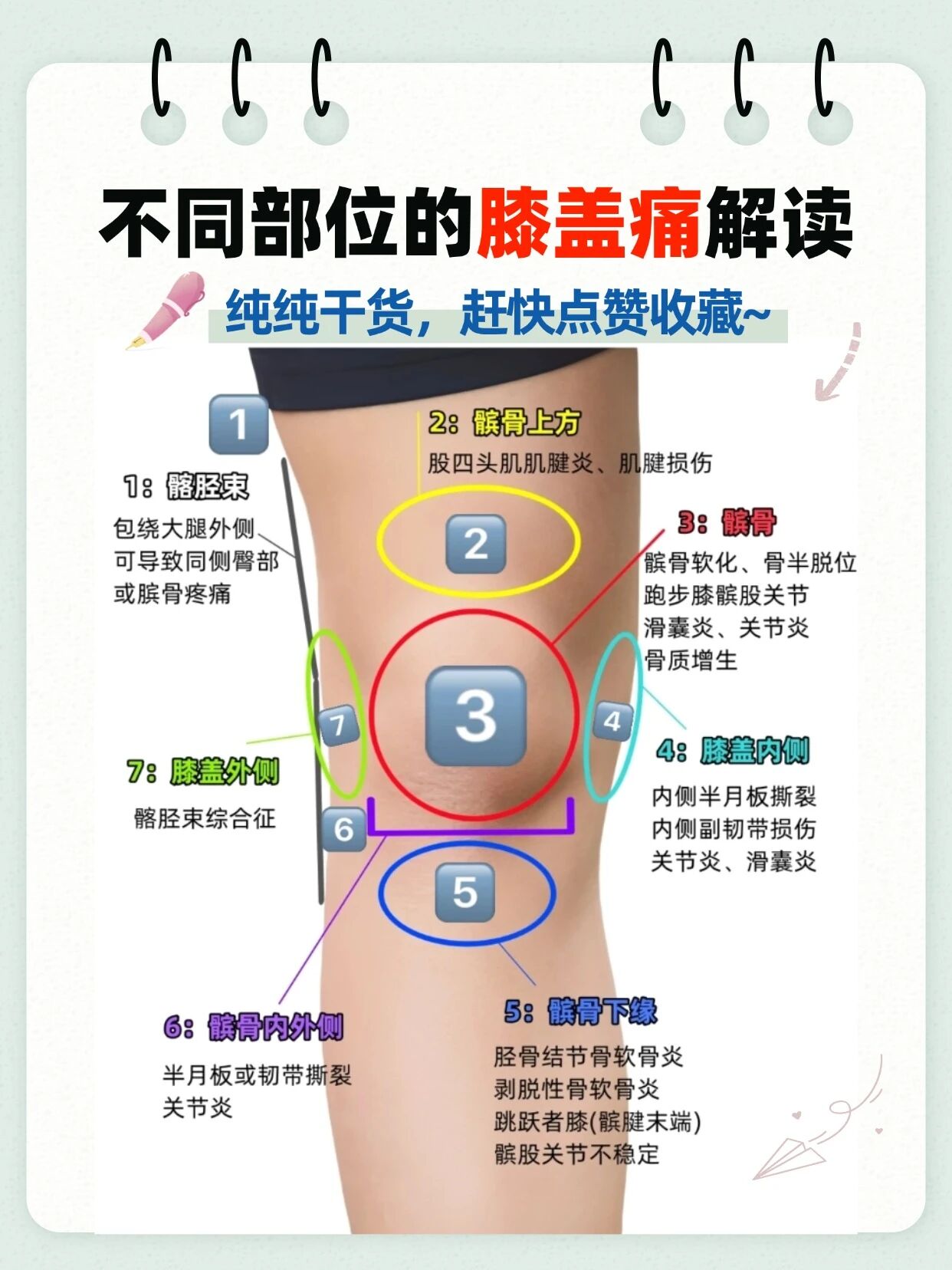膝盖疼别乱揉！不同部位的膝盖痛详细解读，纯干货！