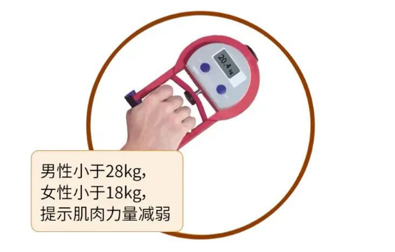 1765764513117147.png image.png