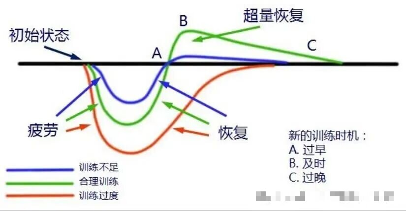 明明做了盆底康复，效果却不佳？ 原来是这个原则被忽视了！