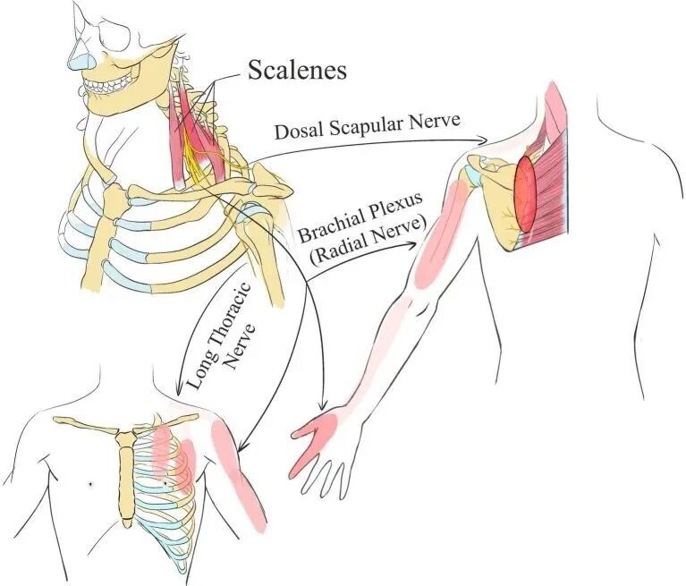 1769396805862412.jpg 图片3.jpg