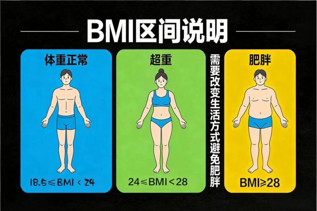 带你读懂人体成分分析报告，告别数字焦虑，科学管理体重，拿到报告先别慌：认识核心模块与检测原理
