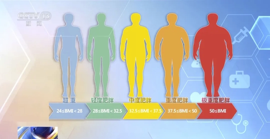 不同年龄层的科学塑形指南